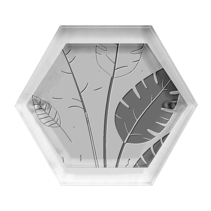 Leaves Boho Monster Nature Hexagon Wood Jewelry Box