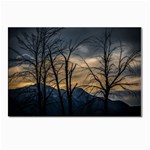 Tree silhouette at border of nahuel haupi lake, rio negro, argentina Postcards 5  x 7  (Pkg of 10) Front