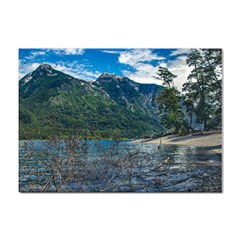 Beach At Los Alerces National Park, Chubut Province, Argentina Sticker A4 (100 Pack) by dflcprintsclothing