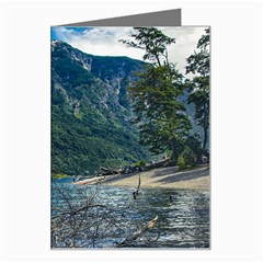 Beach At Los Alerces National Park, Chubut Province, Argentina Greeting Card by dflcprintsclothing