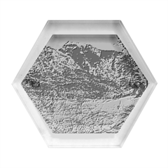 Beach At Los Alerces National Park, Chubut Province, Argentina Hexagon Wood Jewelry Box by dflcprintsclothing