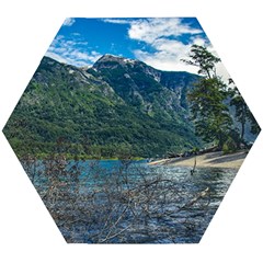 Beach At Los Alerces National Park, Chubut Province, Argentina Wooden Puzzle Hexagon by dflcprintsclothing