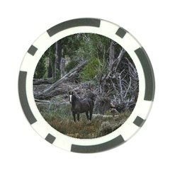 Meadow Landscape, Los Altares, Chubut Province, Argentina Poker Chip Card Guard (10 Pack) by dflcprintsclothing