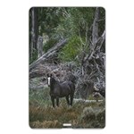 Meadow Landscape, Los Altares, Chubut Province, Argentina Name Card Style USB Flash Drive Back