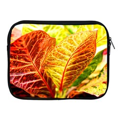 Leaves Plant Pattern Croton Nature Apple Ipad 2/3/4 Zipper Cases by Sabxi