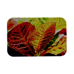 Leaves Plant Pattern Croton Nature Open Lid Metal Box (silver)   by Sabxi