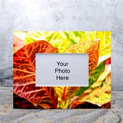 Leaves Plant Pattern Croton Nature White Tabletop Photo Frame 4 x6  by Sabxi