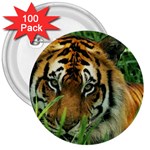 Tiger 3  Button (100 pack) Front