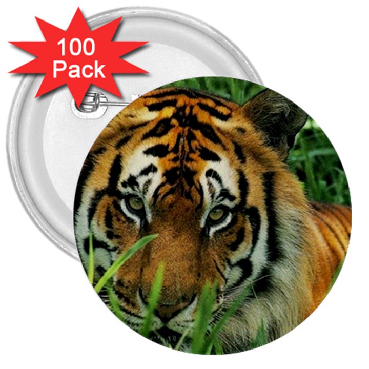 Tiger 3  Button (100 pack)