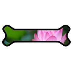 Red Pink Flower Magnet (dog Bone) by ironman2222