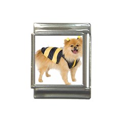 Dog-photo Italian Charm (13mm) by swimsuitscccc