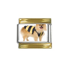 Dog-photo Gold Trim Italian Charm (9mm) by swimsuitscccc