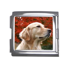 Dog-photo Cute Mega Link Italian Charm (18mm) by swimsuitscccc