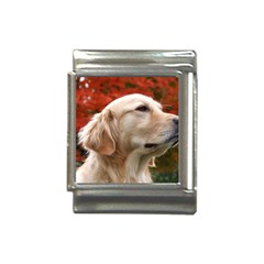 Dog-photo Cute Italian Charm (13mm) by swimsuitscccc