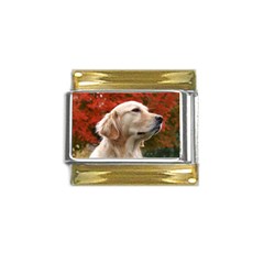 Dog-photo Cute Gold Trim Italian Charm (9mm) by swimsuitscccc