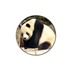 Giant Panda National Zoo Hat Clip Ball Marker Front