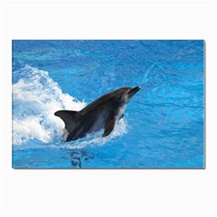 Swimming Dolphin Postcards 5  X 7  (pkg Of 10) by knknjkknjdd