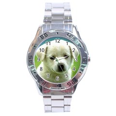 Dog1 Stainless Steel Analogue Men’s Watch by designergaze