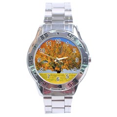 Tree1 Stainless Steel Analogue Men’s Watch by designergaze