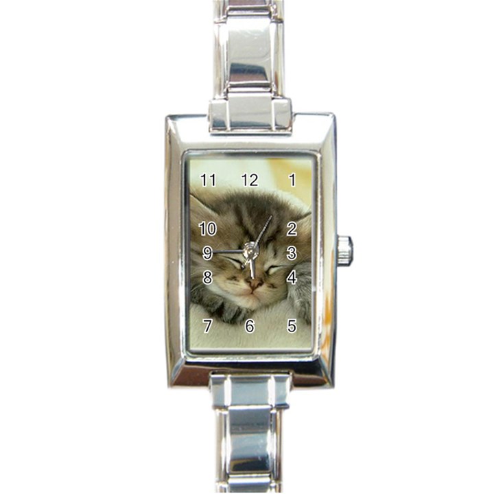 Cat3 Rectangular Italian Charm Watch