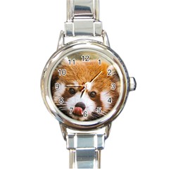 Red Panda2 Round Italian Charm Watch by designergaze