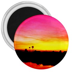 Pink Sunset Large Magnet (round) by tammystotesandtreasures