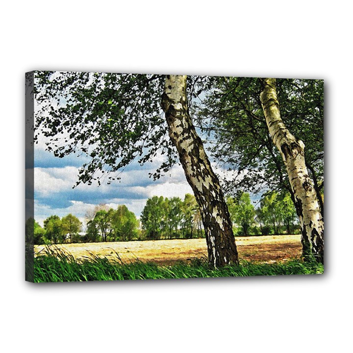 Trees Canvas 18  x 12  (Framed)