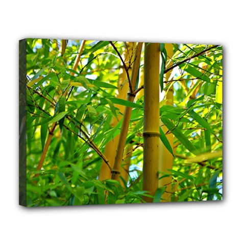 Bamboo Canvas 14  X 11  (framed) by Siebenhuehner