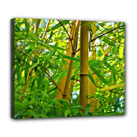 Bamboo Deluxe Canvas 24  X 20  (framed) by Siebenhuehner