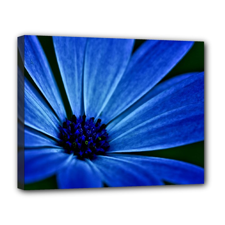 Flower Canvas 14  x 11  (Framed)