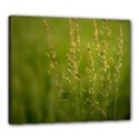 Grass Canvas 24  x 20  (Framed) View1