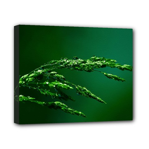 Waterdrops Canvas 10  X 8  (framed) by Siebenhuehner