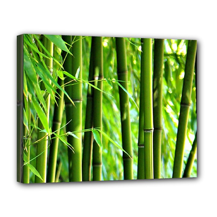 Bamboo Canvas 14  x 11  (Framed)