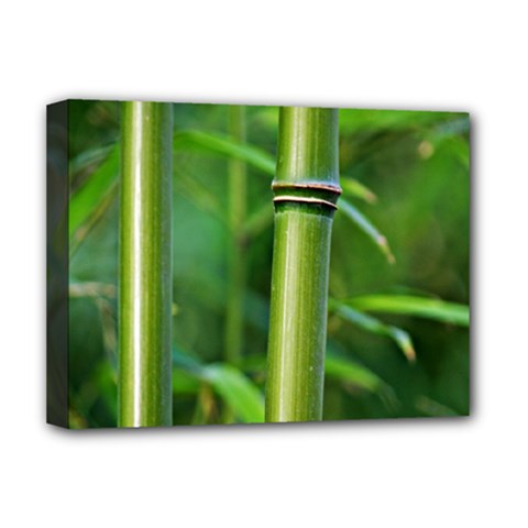 Bamboo Deluxe Canvas 16  X 12  (framed)  by Siebenhuehner