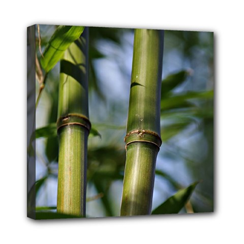 Bamboo Mini Canvas 8  X 8  (framed) by Siebenhuehner