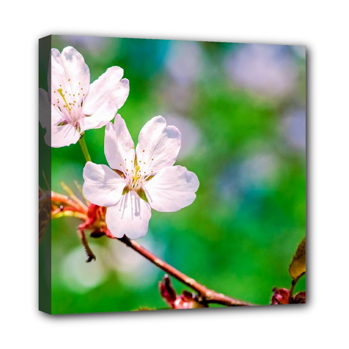 Sakura Flowers On Green Mini Canvas 8  x 8 