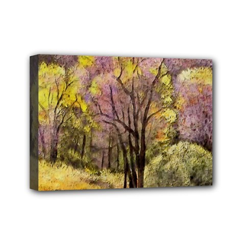 Outdoor Nature Natural Woods Mini Canvas 7  X 5  (stretched) by Pakrebo