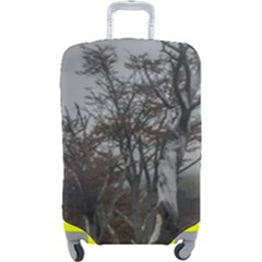 Nature s Resilience: Tierra Del Fuego Forest, Argentina Luggage Cover (large) by dflcprintsclothing