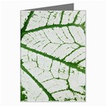 Leaf Patterns Greeting Card Left