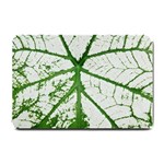 Leaf Patterns Small Door Mat 24 x16  Door Mat