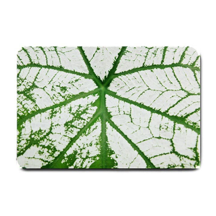 Leaf Patterns Small Door Mat