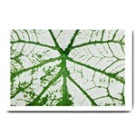 Leaf Patterns Large Door Mat 30 x20  Door Mat