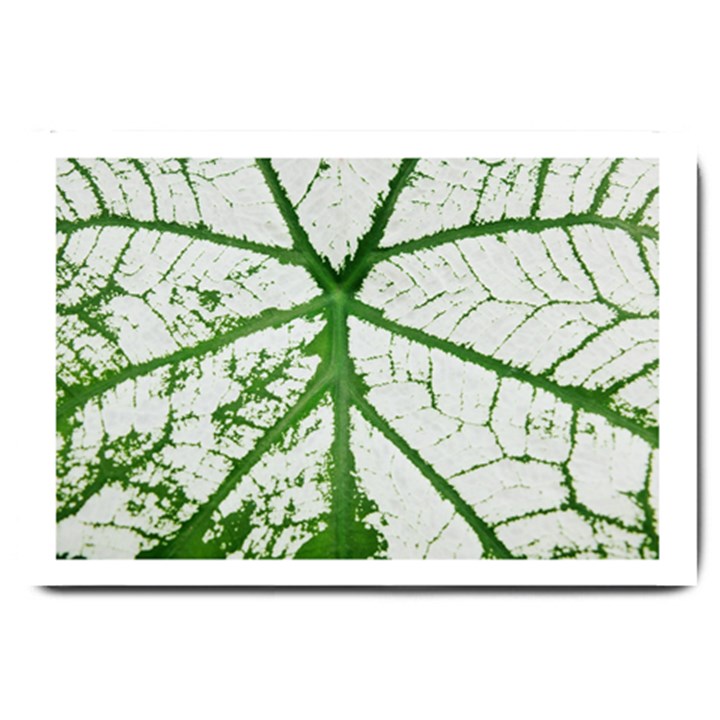 Leaf Patterns Large Door Mat