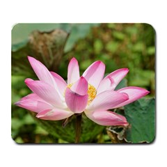 A Pink Lotus Large Mouse Pad (rectangle) by natureinmalaysia