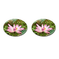 A Pink Lotus Cufflinks (oval) by natureinmalaysia