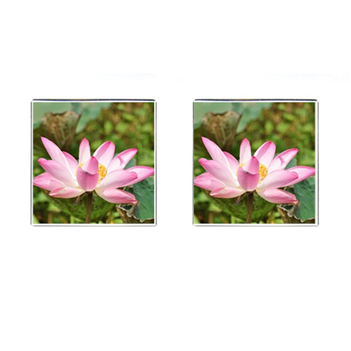 A Pink Lotus Cufflinks (Square)