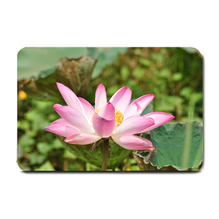 A Pink Lotus Small Door Mat