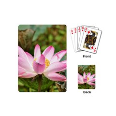 A Pink Lotus Playing Cards (mini) by natureinmalaysia