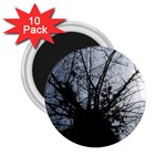 An Old Tree 2.25  Button Magnet (10 pack) Front