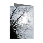 An Old Tree Mini Greeting Card (8 Pack) Left